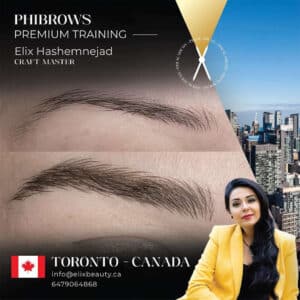 Elix beauty toronto canada 17 18 feb - Phi Scalp Micropigmentation 2 Days Workshop